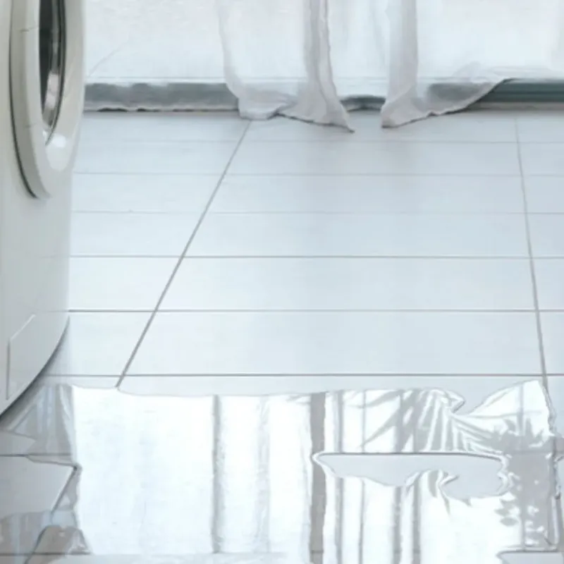 Appliance Leak Cleanup in Edgecombe County, NC