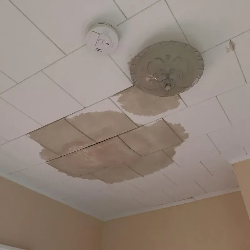 Ceiling Water Damage Repair in Edgecombe County, NC