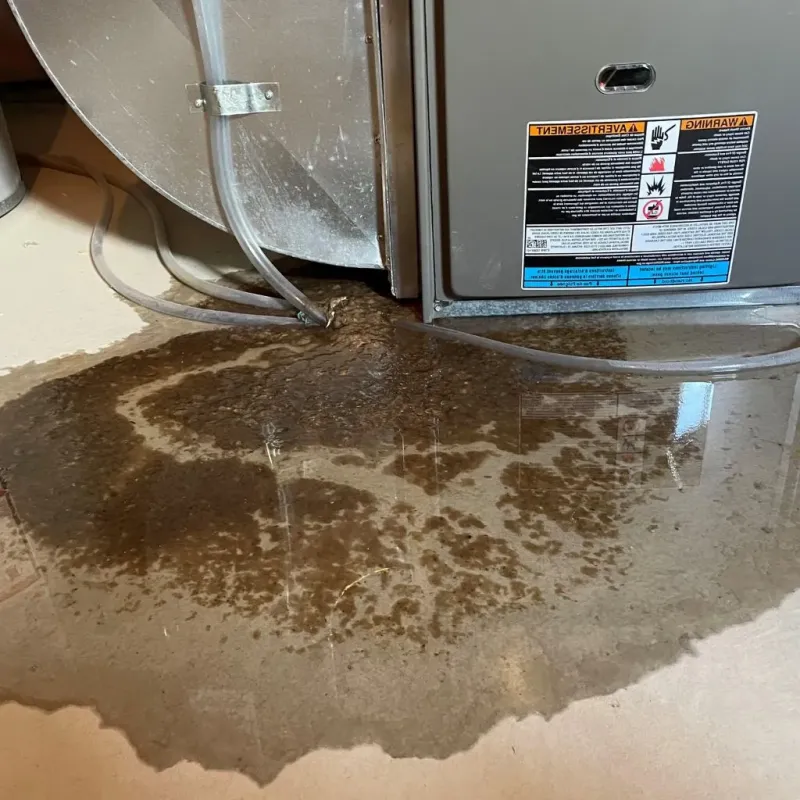Pipe Burst and Leak Restoration in Edgecombe County, NC