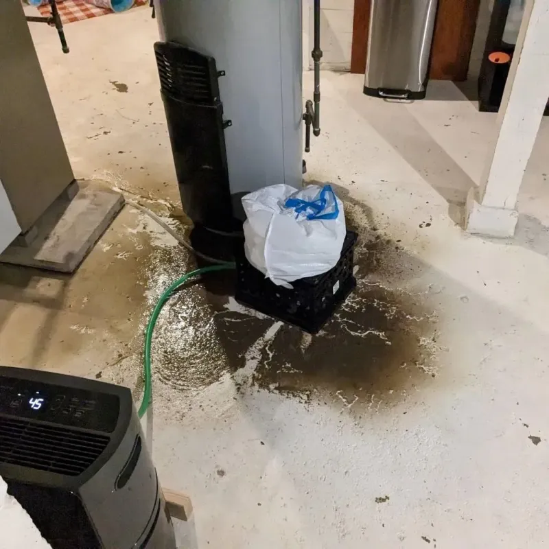 Sewage Backup Cleanup Service in Edgecombe County, NC